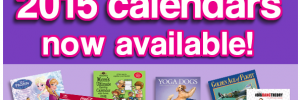calendar club black friday